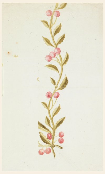 Design for Woven or Embroidered Borders by Unknown